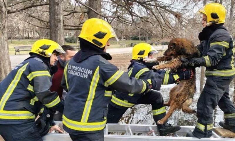 Az újvidéki tűzoltók egy figyelemre méltó akciót valósítottak meg, amely igazán különlegessé teszi munkájukat.