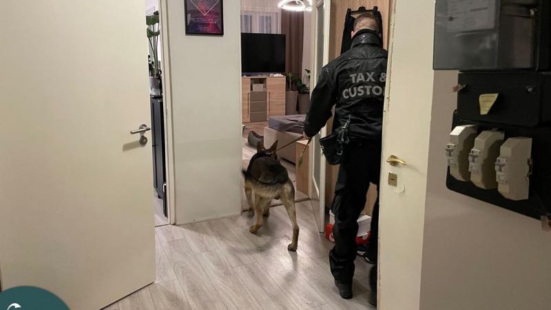 Strómanok, fényűzés és hárommilliárd forintnyi áfa: így lépett akcióba a NAV