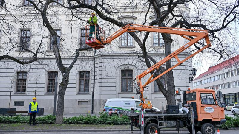 Különféle lezárásokra kell számítani az egri belváros forgalmas utcájában.