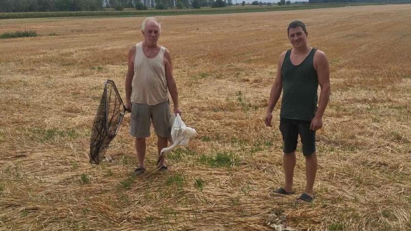 Életmentés a hivatás teljesítése közben: a kiskőrösi rendőr nem fordított hátat a sérült gólyának.