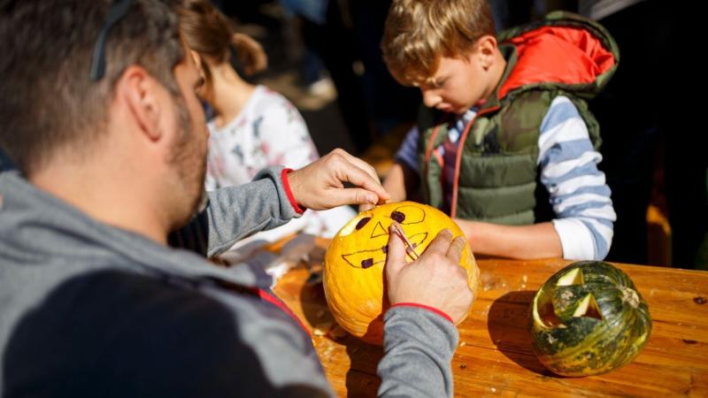 Szombati fárasztó hajtás után egy felejthetetlen vasárnap vár ránk Borsodban, tele izgalmas élményekkel! Termelők kínálatát kóstolgathatjuk, részt vehetünk a maratonon, és még Opitz Barbi is szórakoztat minket. Készüljünk fel egy igazán különleges napra!