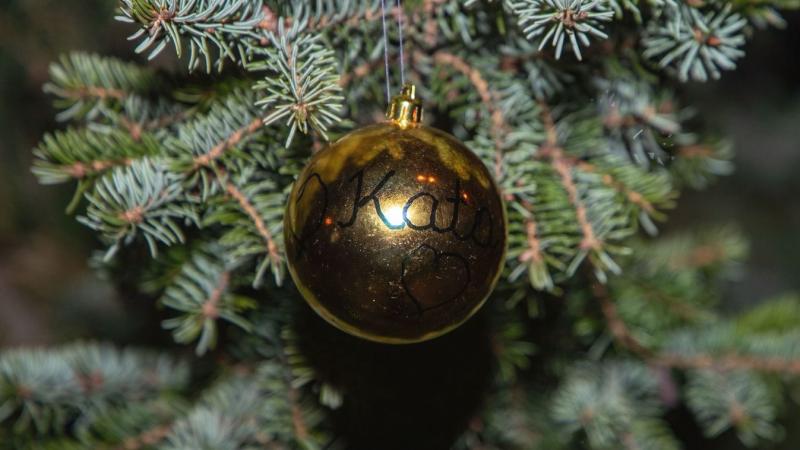 Keresik a járási székhely ünnepi fenyőfáját: ekkora gyönyörű fenyőfa felajánlását várják!