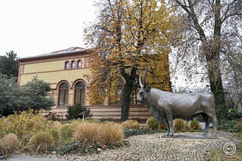 A campus három épülete összesen 7,3 milliárd forintból újult meg az Állatorvostudományi Egyetemen - Fotó: MTI/Koszticsák Szilárd