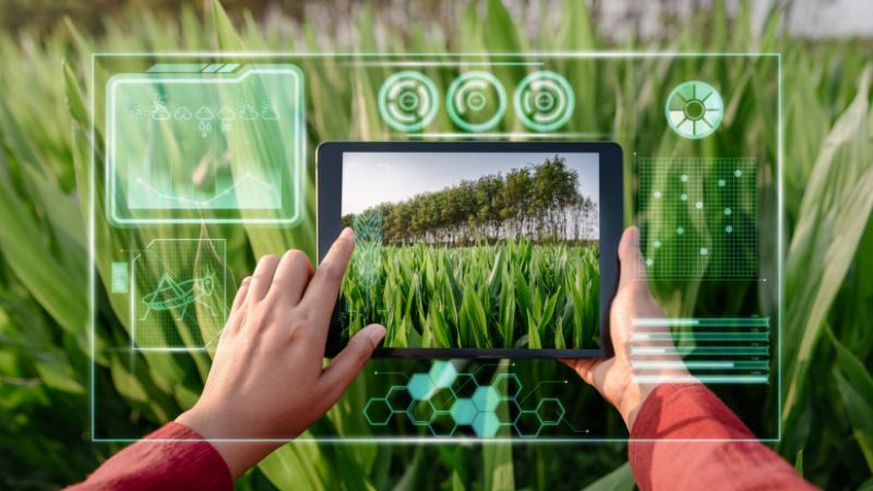 A szakértő elmondta: a modern termelés ma már elképzelhetetlen ezen innovatív megoldások nélkül – Agro Napló.