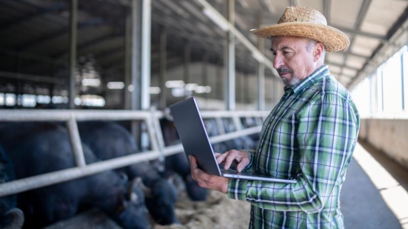 Átalakulás várható az állategészségügyi támogatási rendszerben: ez a fejlemény számos gazdálkodót érinthet - Agro Napló