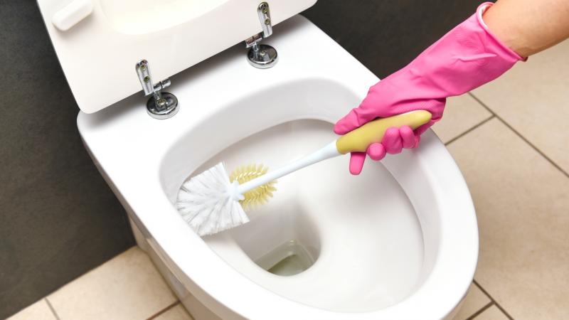 Ilyen gyakran érdemes frissíteni a WC-kefét: fogadjunk, hogy te sem gondolsz rá rendszeresen!
