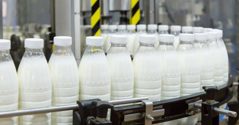 Mi rejlik a lengyel tejágazat lenyűgöző sikerének hátterében?