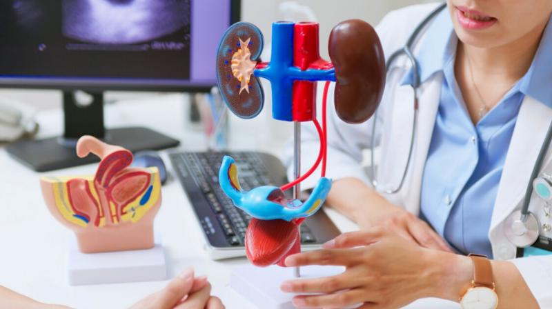 Egy férfi közel kilenc hónapon át osztozott életén egy sertésvesével - számolt be a Házipatika.